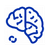 Brain